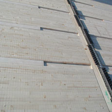 Legno